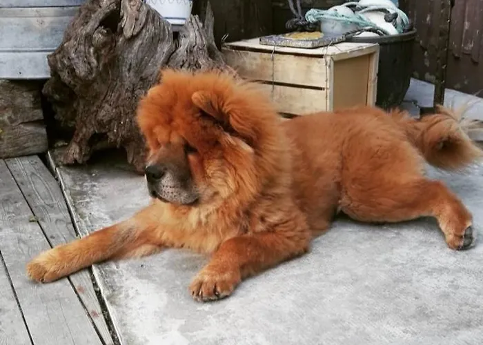 Guest house The Old Seaman